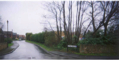 Gatchell Meadow.jpg